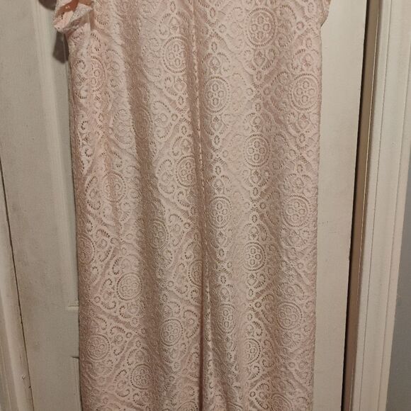 Espresso Soft Pink Lace Mini Dress - Picture 9 of 12